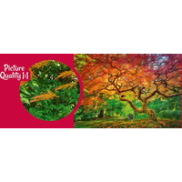 CHERRY PAZZI Puzzle Koruna stromu 1000 dielikov