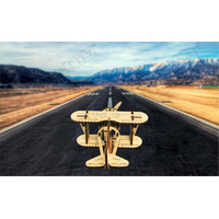 WOODEN CITY 3D puzzle Dvojplošník 63 dielov