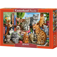CASTORLAND Puzzle Mačacie dom 2000 dielikov