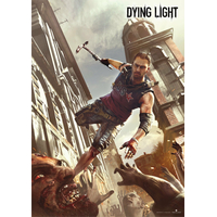 GOOD LOOT Puzzle Dying Light - Crane&#39;s Fight 1000 dielikov