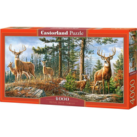 CASTORLAND Puzzle Kráľovská jelenia rodina 4000 dielikov