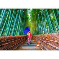 ENJOY Puzzle Ázijská žena v bambusovom lese 1000 dielikov
