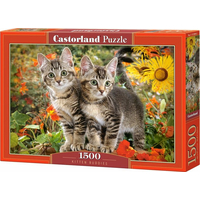 CASTORLAND Puzzle Mačacie priatelia 1500 dielikov