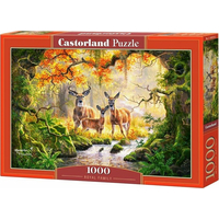 CASTORLAND Puzzle Kráľovská rodina 1000 dielikov