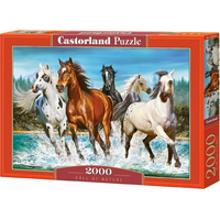 CASTORLAND Puzzle Volanie prírody 2000 dielikov