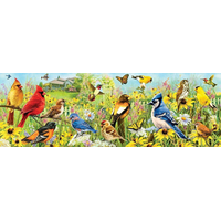 EUROGRAPHICS Panoramatické puzzle Záhradné vtáky 1000 dielikov