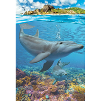 EUROGRAPHICS Puzzle Save Our Planet: Delfíny XL 250 dielikov