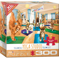 EUROGRAPHICS Puzzle Jóga štúdio XL 300 dielikov