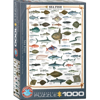 EUROGRAPHICS Puzzle Morské ryby 1000 dielikov