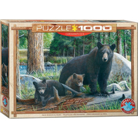 EUROGRAPHICS Puzzle Nové objavy 1000 dielikov