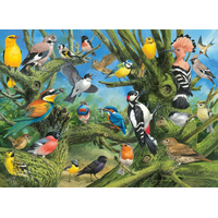 EUROGRAPHICS Puzzle Vtáky v záhrade 1000 dielikov