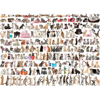 EUROGRAPHICS Puzzle Svet mačiek 1000 dielikov