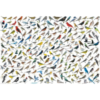 EUROGRAPHICS Puzzle Svet vtákov 2000 dielikov