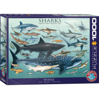 EUROGRAPHICS Puzzle Žraloky 1000 dielikov