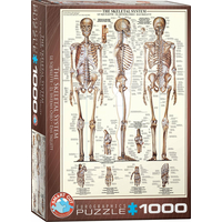 EUROGRAPHICS Puzzle Kostrová sústava 1000 dielikov