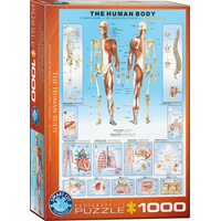 EUROGRAPHICS Puzzle Ľudské telo 1000 dielikov