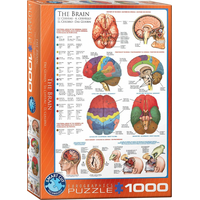 EUROGRAPHICS Puzzle Mozog 1000 dielikov