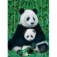 EUROGRAPHICS Puzzle Panda a mláďa 1000 dielikov