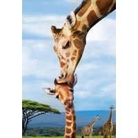 EUROGRAPHICS Puzzle Save Our Planet: Žirafy XL 250 dielikov