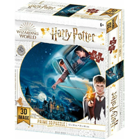 PRIME 3D Puzzle Harry Potter: Harry a Ron nad Rokfortom 3D 300 dielikov