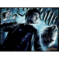 PRIME 3D Puzzle Harry Potter: Chrabromil 3D XL 300 dielikov