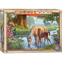 EUROGRAPHICS Puzzle Fellskí poníky 1000 dielikov