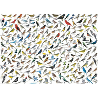EUROGRAPHICS Puzzle Svet vtákov 1000 dielikov