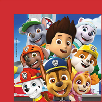 CLEMENTONI Puzzle Frame Me Up Tlapková patrola 60 dielikov