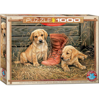 EUROGRAPHICS Puzzle Šteňatá so starou topánkou 1000 dielikov