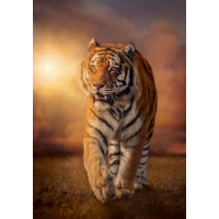 CLEMENTONI Puzzle Tiger 1500 dielikov