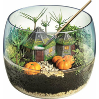 CLEMENTONI Terárium Harry Potter: Hagridova chyža CLEMENTONI Terárium Harry Potter: Hagridova chyža