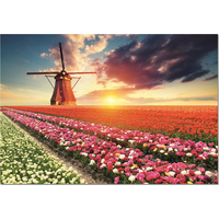EDUCA Puzzle Krajina tulipánov 1500 dielikov