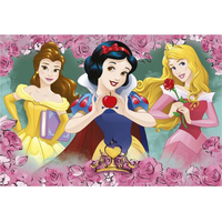 DINO Puzzle Disney princeznej 2x77 dielikov