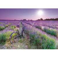 EDUCA Puzzle Bicykel v levanduľovom poli 1000 dielikov