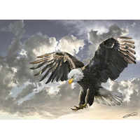 ART PUZZLE Puzzle Čierna a biela 500 dielikov