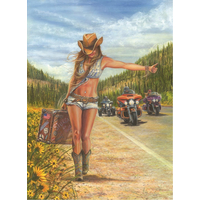 ANATOLIAN Puzzle American Gypsy 1000 dielikov