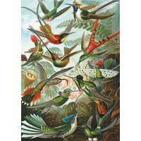 PIATNIK Puzzle Kolibríky 1000 dielikov