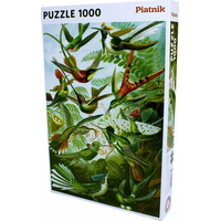 PIATNIK Puzzle Kolibríky 1000 dielikov