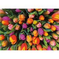 PIATNIK Puzzle Tulipány 1000 dielikov