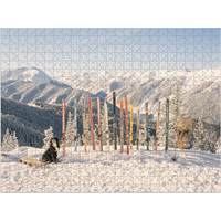 GALISON Obojstranné puzzle Gray Malin: Zima 500 dielikov