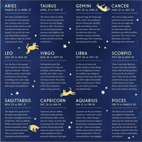 GALISON Štvorcové puzzle Mačacie zverokruh 500 dielikov