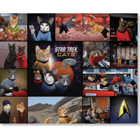 CHRONICLE BOOKS Puzzle Star Trek Cats 1000 dielikov