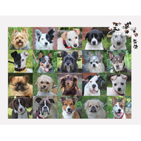 GALISON Puzzle Zachránenie psy 1000 dielikov