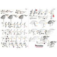 METAL EARTH 3D puzzle Triceratops
