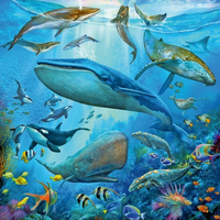 RAVENSBURGER Puzzle Zvieratá z oceánu 3x49 dielikov