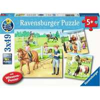 RAVENSBURGER Puzzle Deň u koní 3x49 dielikov