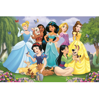 TREFL Puzzle Super Shape XL Disney princeznej: V záhrade 104 dielikov