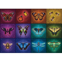 RAVENSBURGER Puzzle Okrídlenie 1000 dielikov