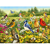 RAVENSBURGER Puzzle Vtáky na lúke 500 dielikov