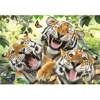 ANATOLIAN Puzzle Tigrie selfie 260 dielikov